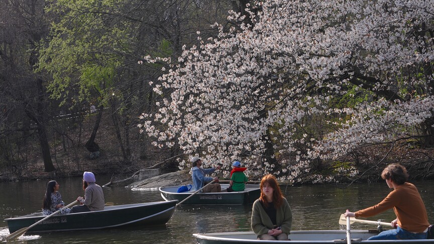 Mart 2026, dünyanın “en sıcak dördüncü” mart ayı oldu