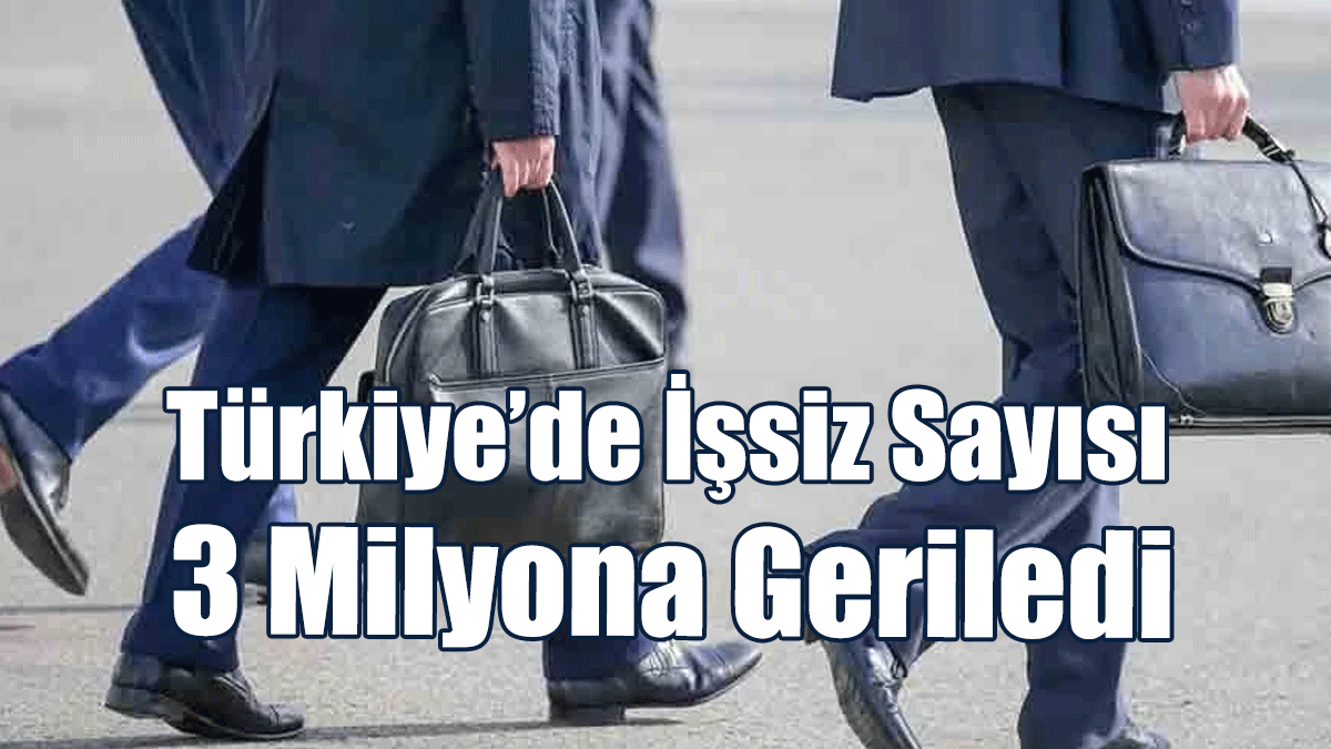 Türkiye’de İşsiz Sayısı 3 Milyona Geriledi