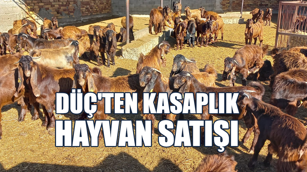 Geç Gelen Teklifler Dikkate Alınmayacak