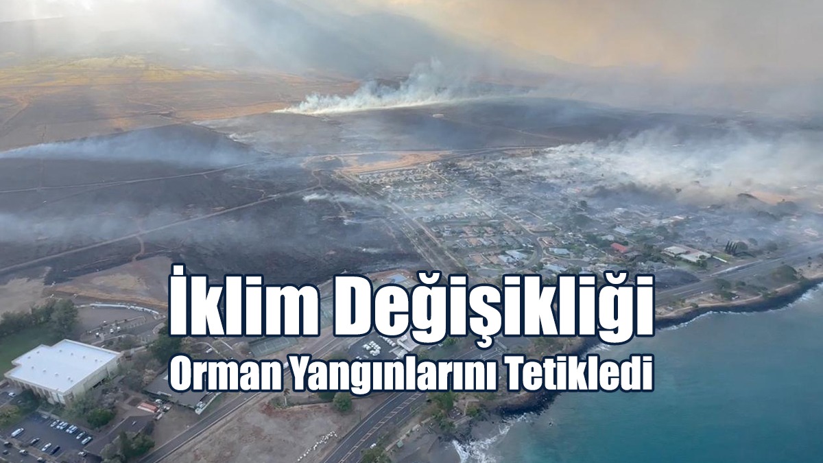 İklim değişikliği Orman Yangınlarını Tetikledi