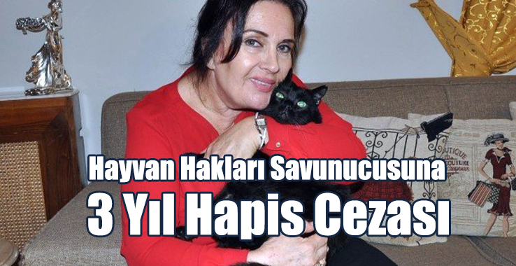 Hayvan Hakları Savunucusuna 3 Yıl Hapis Cezası