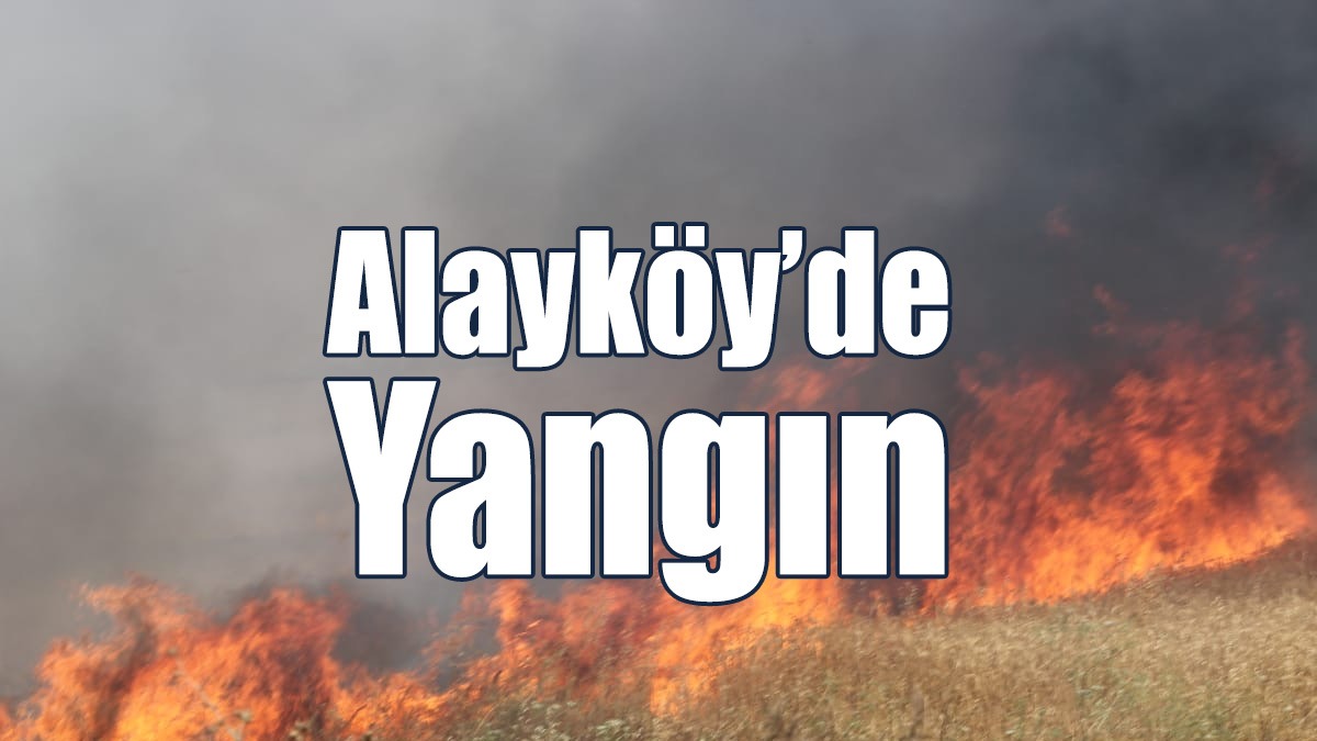 Alayköy’de Yangın