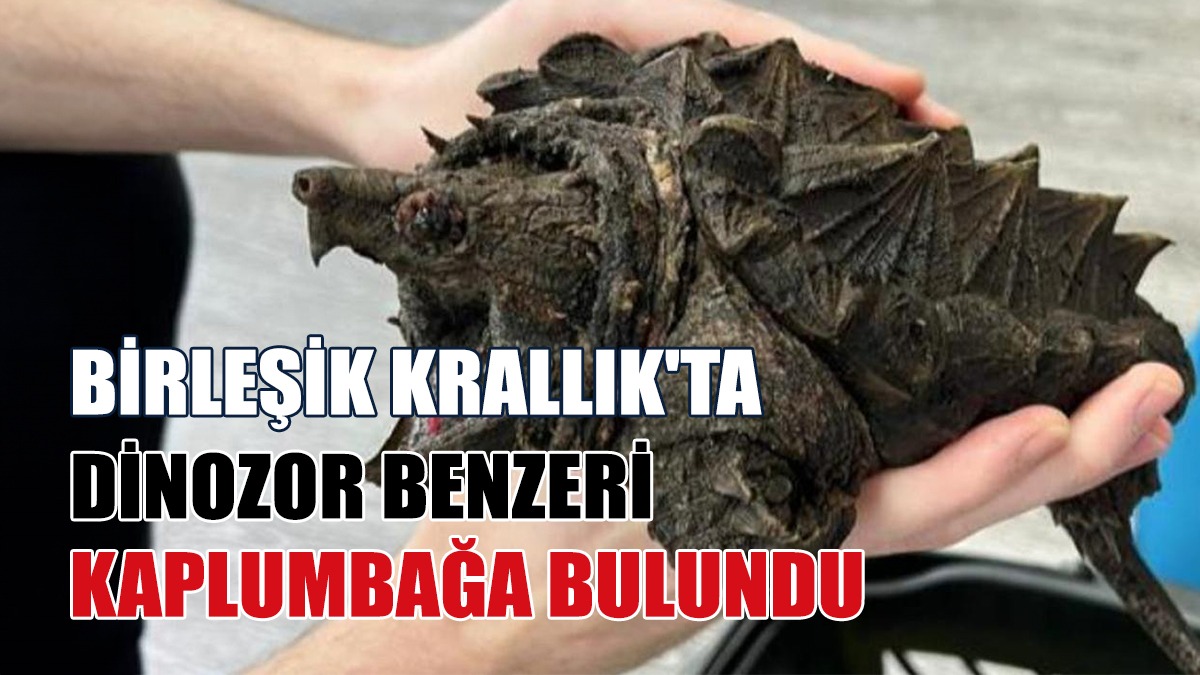Kemiği Isırarak Kırabiliyor