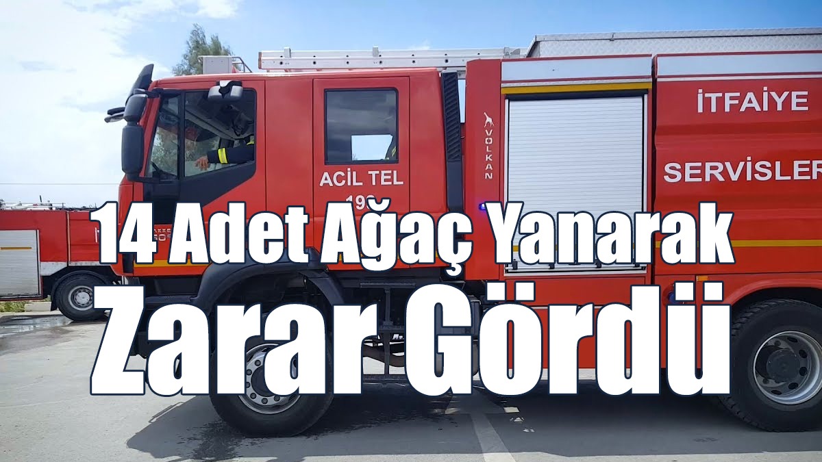 14 Adet Ağaç Yanarak Zarar Gördü