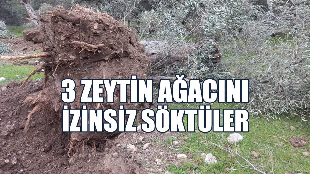 İnşaat Şirketi Personeli Hakkında Yasal İşlem Başlatıldı