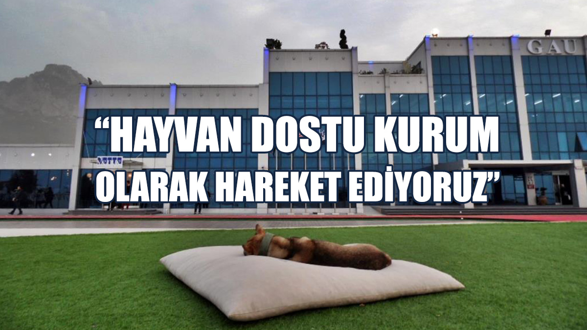 Akpınar: Kapımızın Önüne Bir Kap Yemek Ve Su Koymayı Unutmayalım