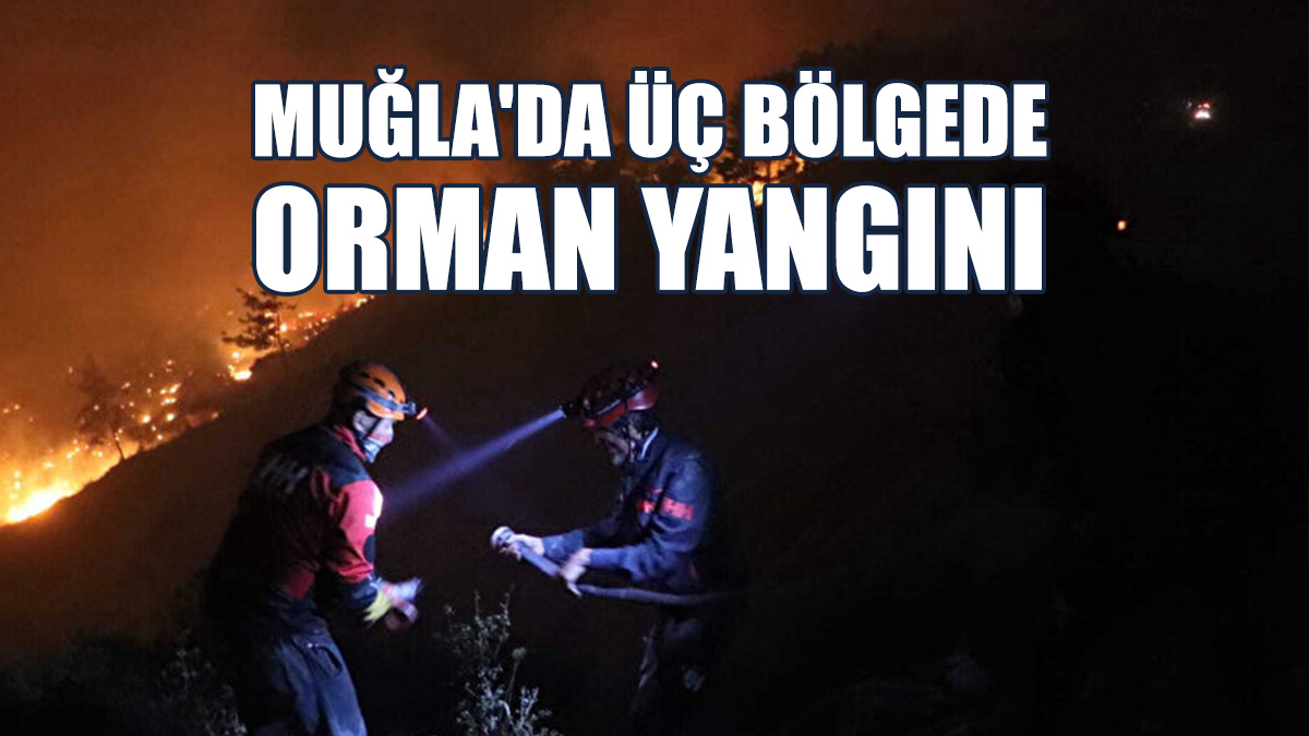 “Yangın, Çok Geniş Bir Alanda”