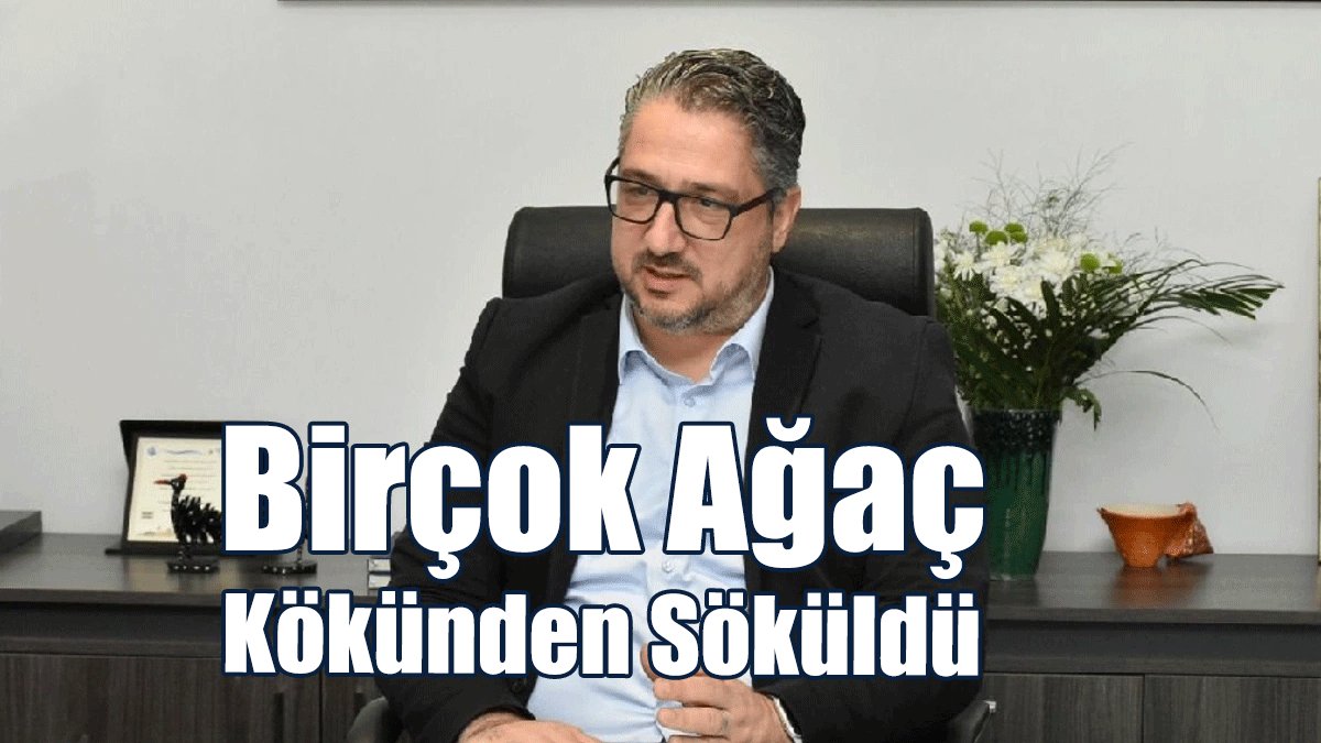 Şenkul: Yoğun Yağışlar Toprak Kaymalarını Da Beraberinde Getirdi