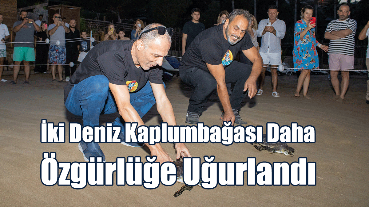 İki Deniz Kaplumbağası Daha Özgürlüğe Uğurlandı