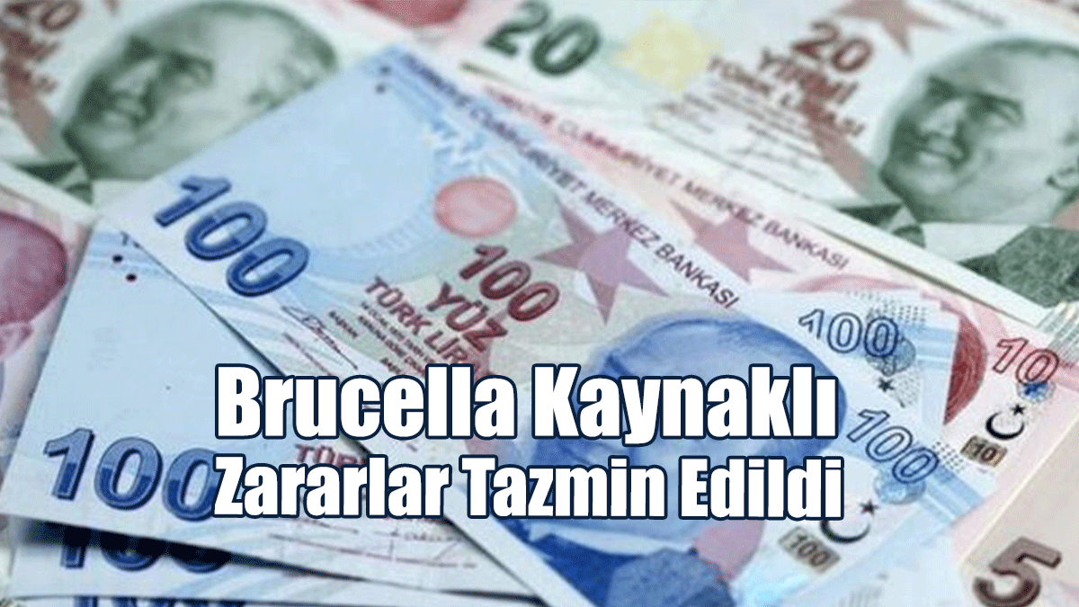 Brucella Kaynaklı Zararlar Tazmin Edildi