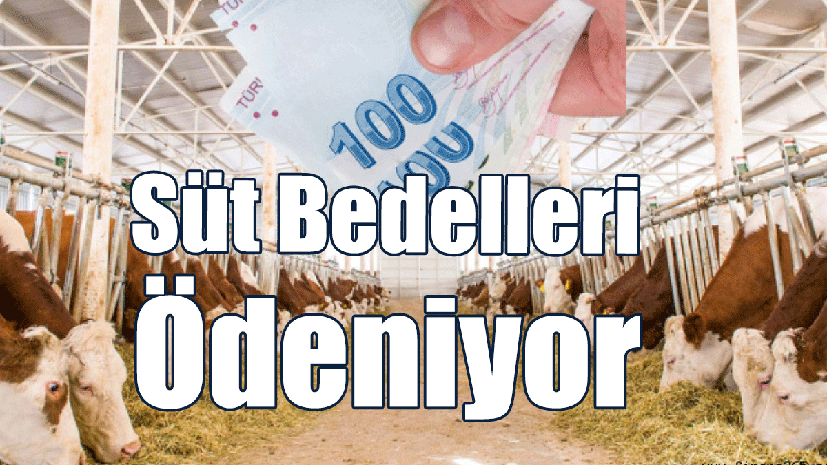Süt Bedelleri Ödeniyor