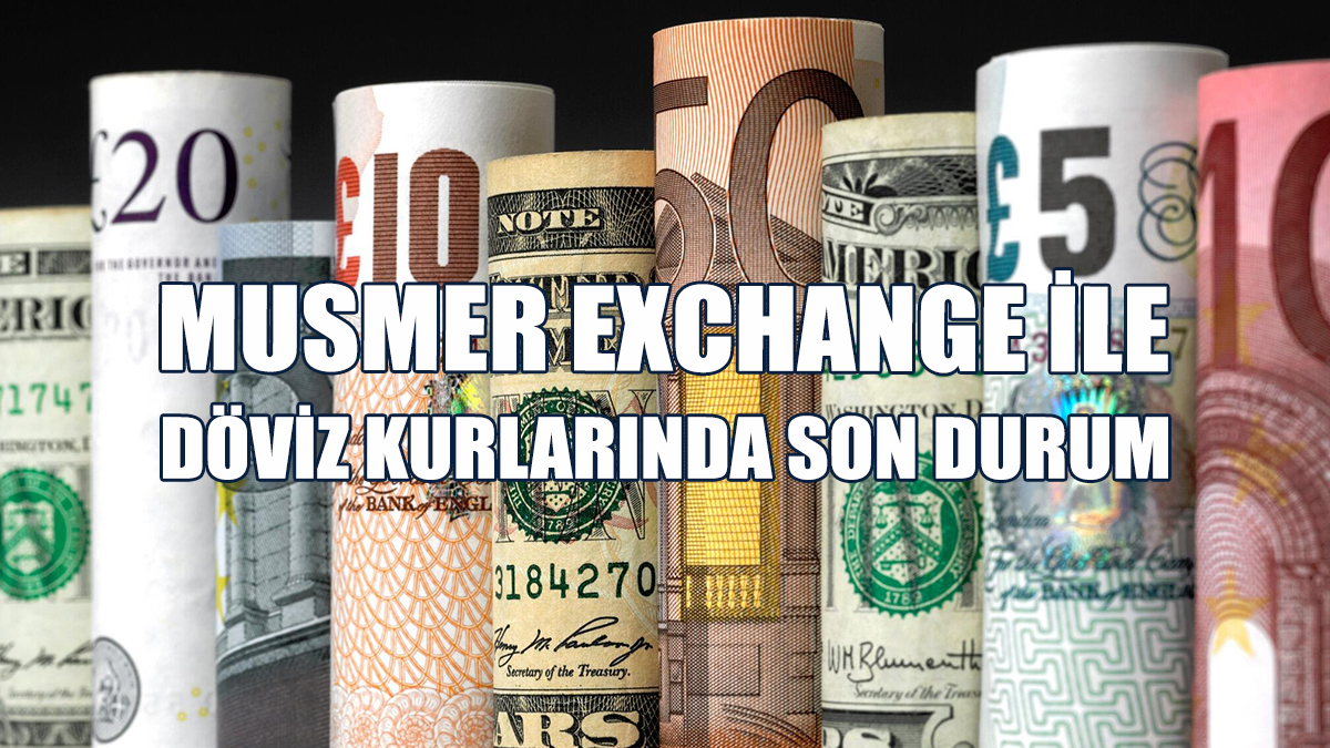 6 Ağustos 2024 Salı Döviz Kurları