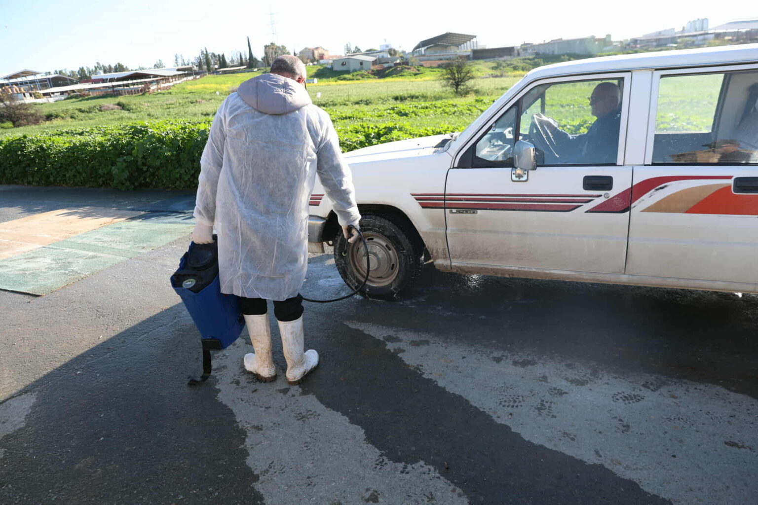 Güney Kıbrıs’ın tamamı şap hastalığı yüzünden karantinaya alındı