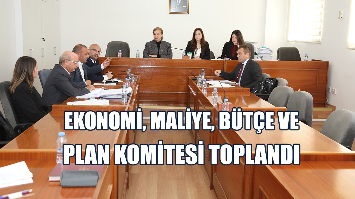 Ekonomi, Maliye, Bütçe Ve Plan Komitesi Toplandı