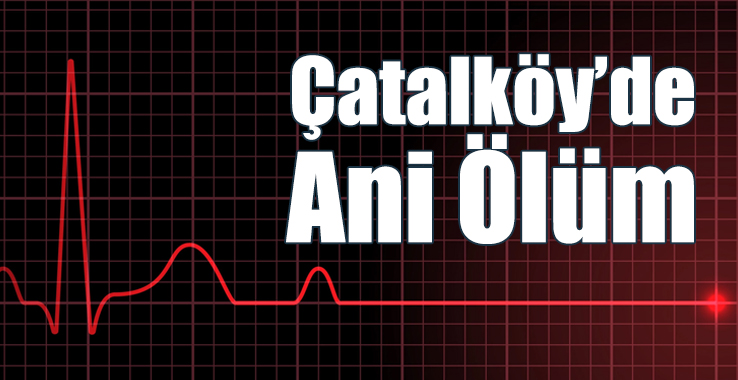 Çatalköy’de Ani Ölüm