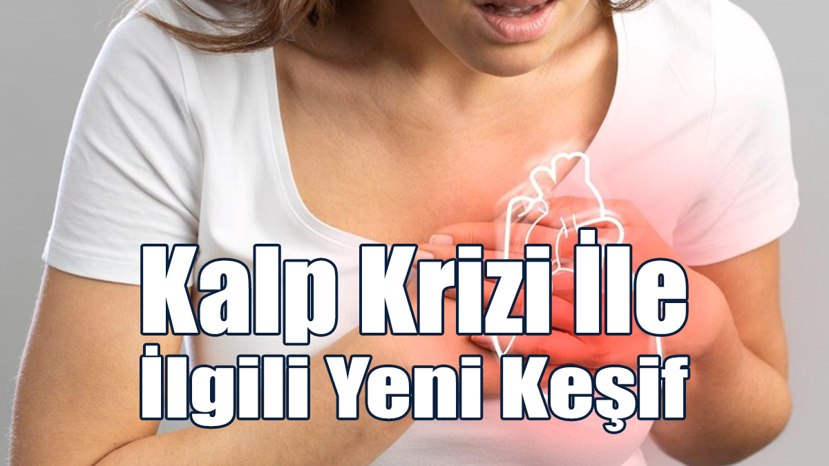 6 İle 13 Yıllık Yaşlanmaya Eş Değer