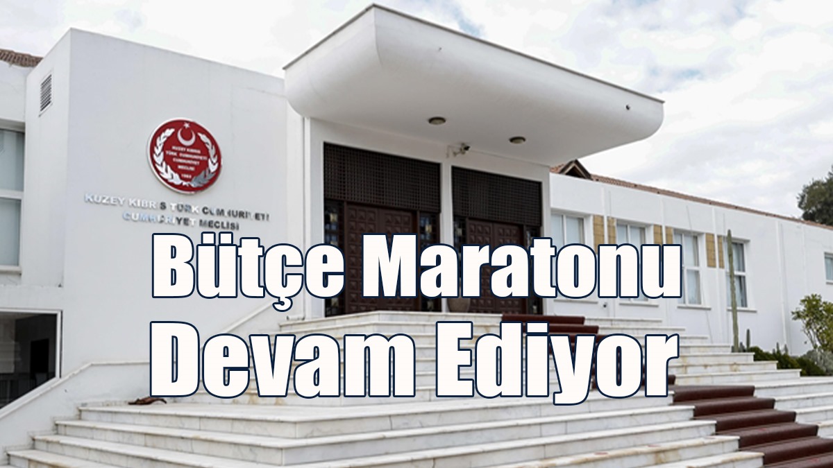 Cumhuriyet Meclisi’nde Bütçe Maratonu Devam Ediyor