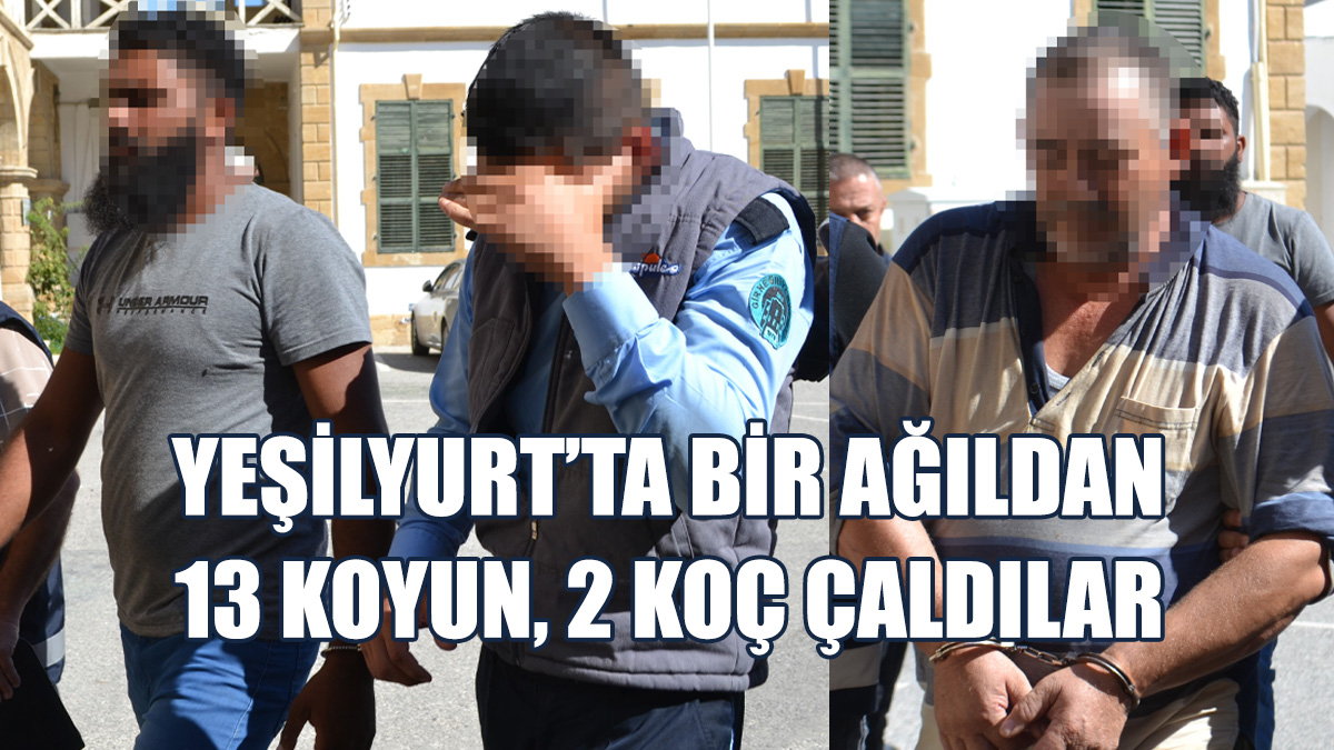 “Koyunların Çalıntı Olduğunu Bilmiyordum”