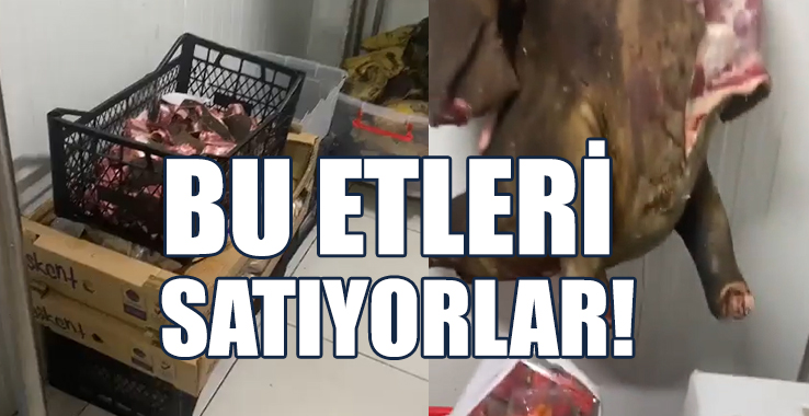 Şenkul İsyan Etti: Ülke Kontrolden Çıkıyor!