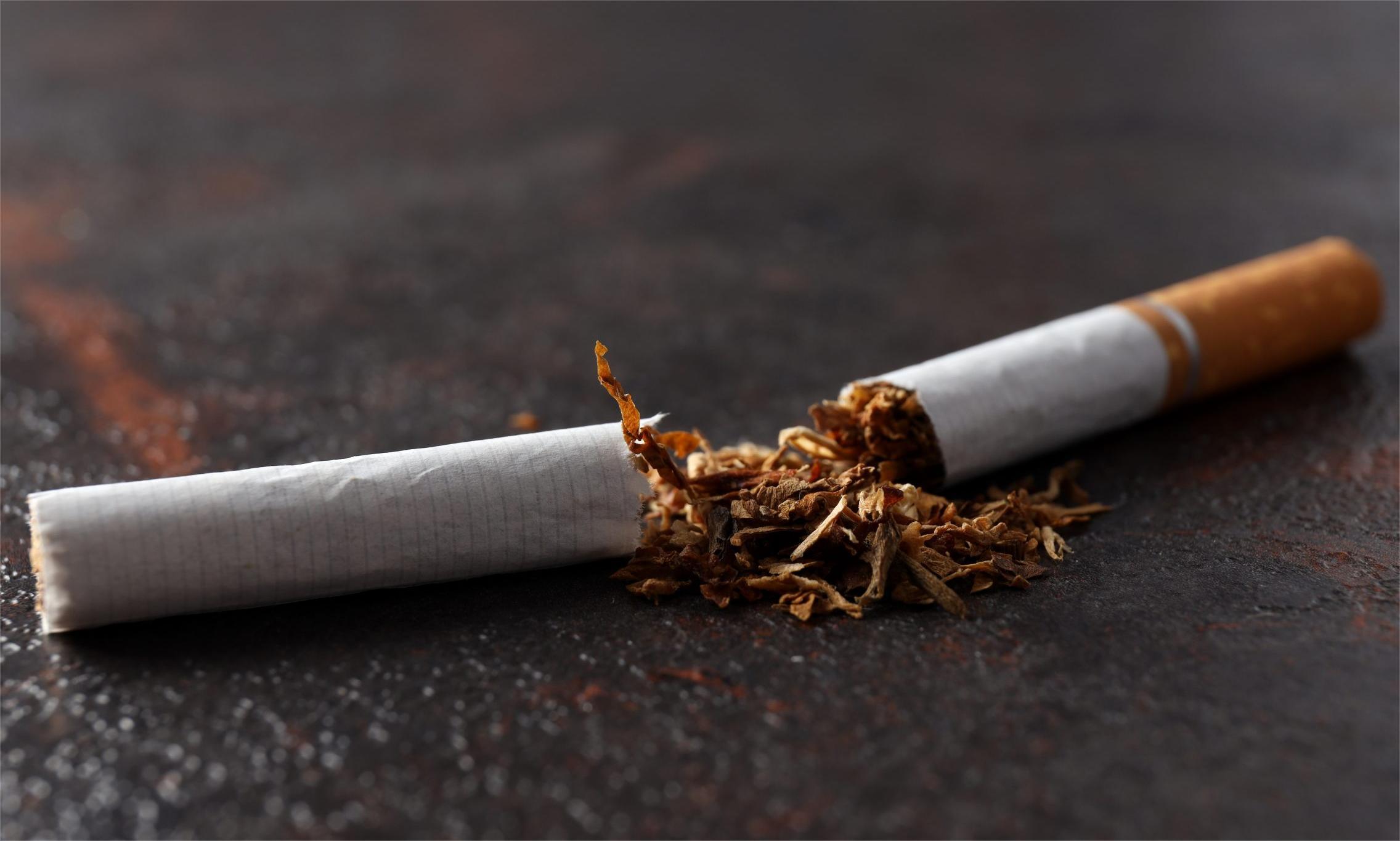 Çevrecilerden "kapalı alanlarda sigara içilmesin" çağrısı