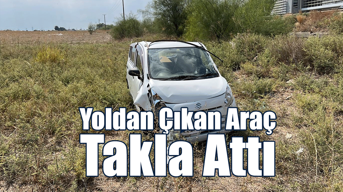 Yoldan Çıkan Araç Takla Attı