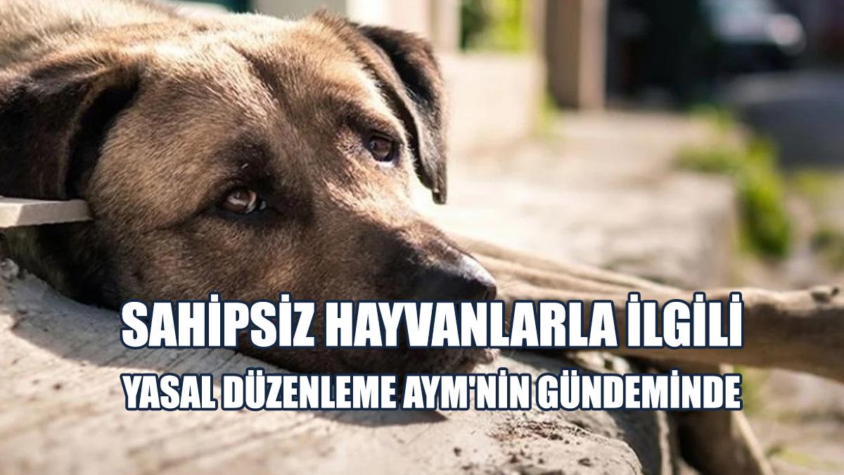 17 Maddeden 16'sının İptali Ve Yürürlüğünün Durdurulması İstenmişti