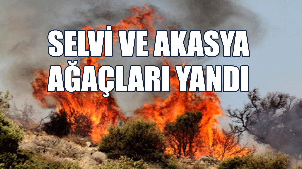 Kıvılcımlar Yangına Sebep Oldu...