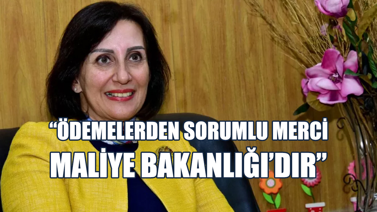 Veçhi: Komisyona Toplam 7 Bin 734 Başvuru Yapıldı