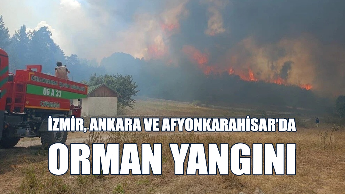 Ankara'da Başlayan Yangın Bolu'ya Sıçradı