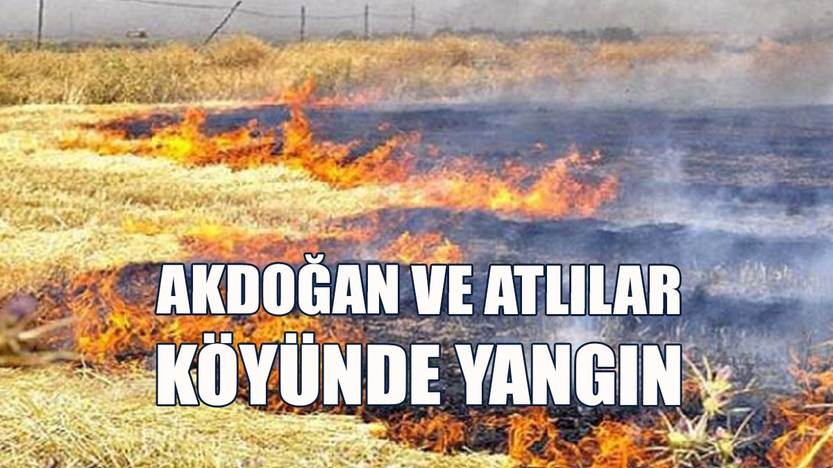 Anız Ve Balyalar Yandı...