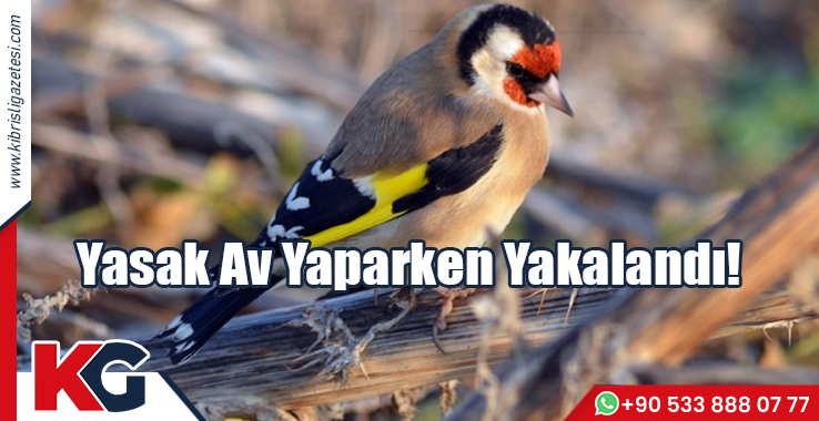 Yasak Av Yaparken Yakalandı!