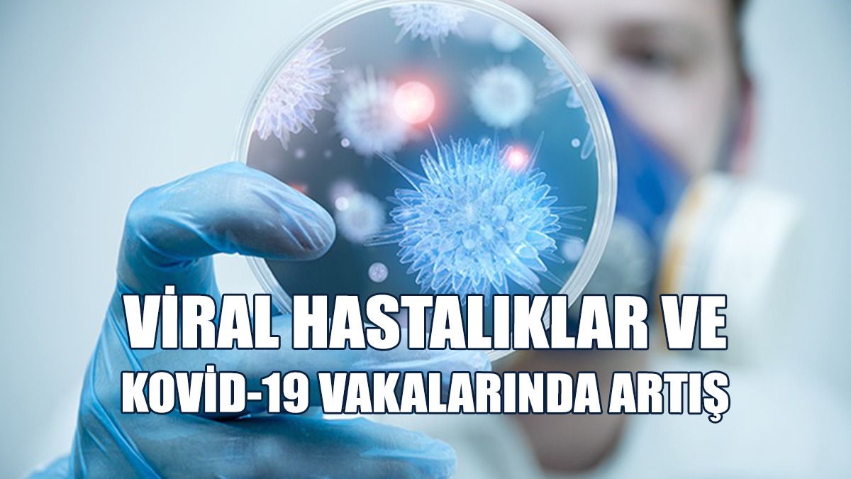 “Güney Kıbrıs, Ziyaretçi Sayısındaki Azalma Nedeniyle Paniğe Kapıldı”