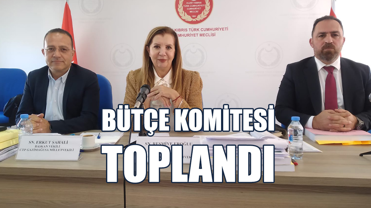 Gündemde Tarım Ve Sağlık Bakanlıklarının Bütçeleri Var