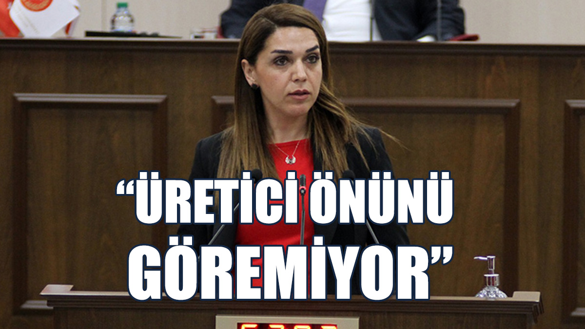 Çavuş: Perşembe Tahıl Fiyatlarını Açıklayacağız