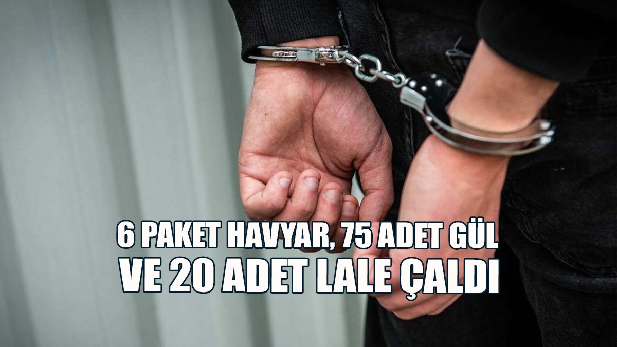 6 Paket Havyar, 75 Adet Gül Ve 20 Adet Lale Çaldı