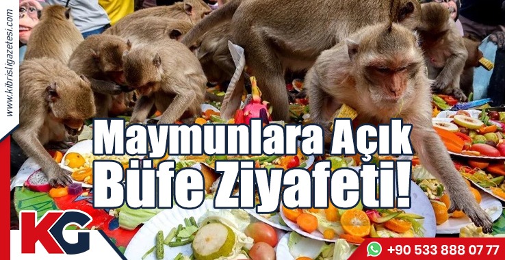 Maymunlara Açık Büfe Ziyafeti!
