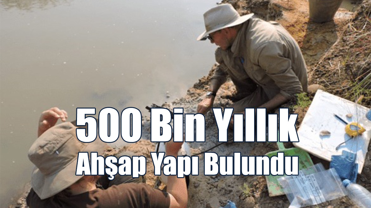 500 Bin Yıllık Ahşap Yapı Bulundu: Kütükler En Eski Ahşap Yapılar Olabilir