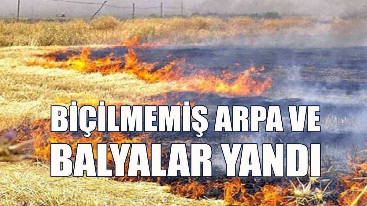 Yıldırım-Atlılar Köyü Arasında Arazi Yangını