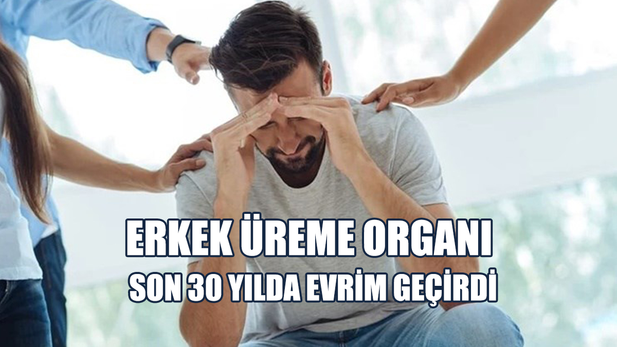 Araştırma: Erkek Üreme Organı Son 30 Yılda Evrim Geçirdi