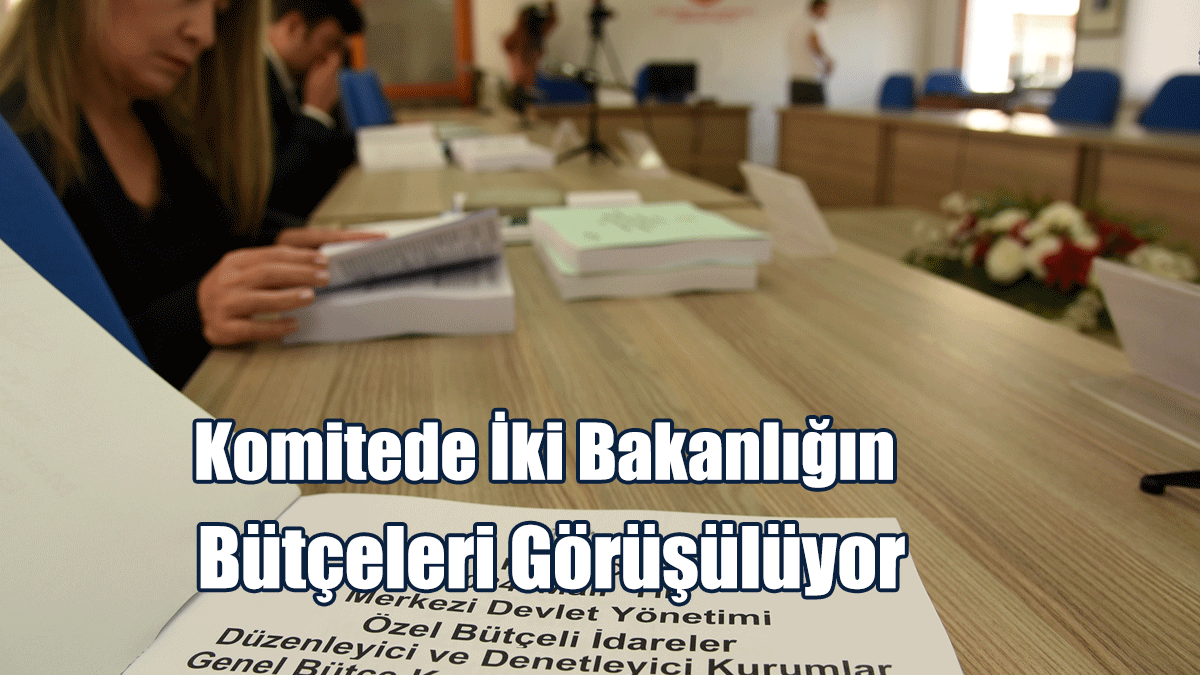 Komitede Bugün İki Bakanlığın Bütçeleri Görüşülüyor