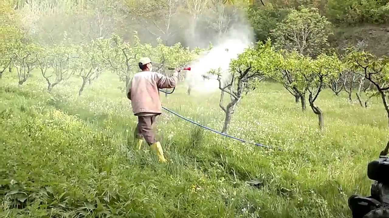 Spirotetramat içeren tarımsal ilaçların kullanımı da yasaklanıyor