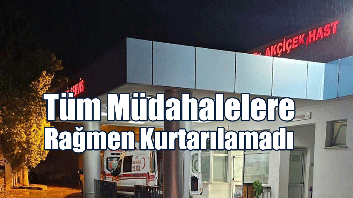 Tüm Müdahalelere Rağmen Kurtarılamadı