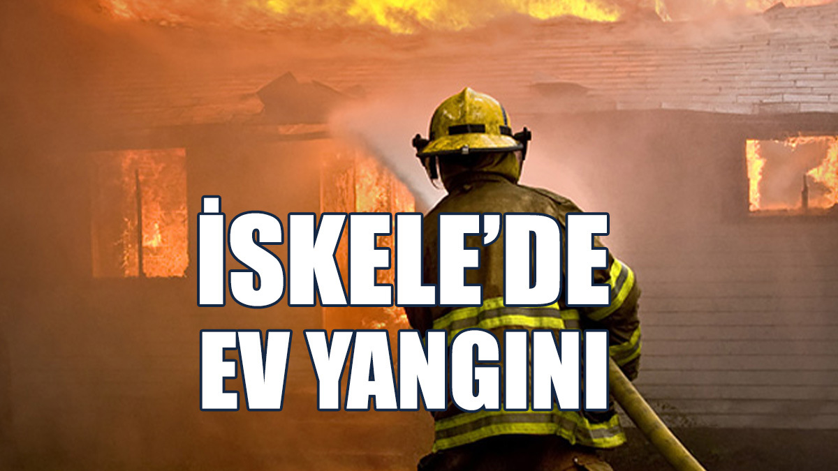 4 Köpek Ve 2 Kedi İtfaiyeciler Tarafından Yaralı Kurtarıldı