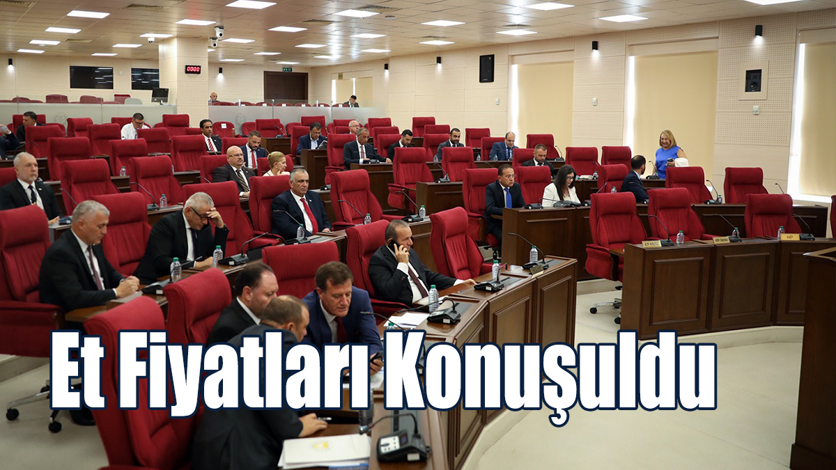 Mecliste gündem et fiyatı ve et ithalatı