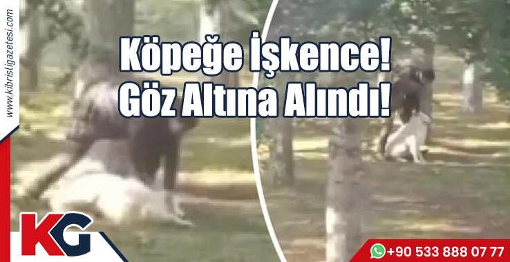 Köpeğe İşkence! Göz Altına Alındı!