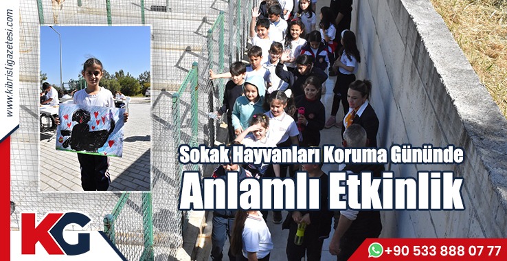 Sokak Hayvanları Koruma Gününde Anlamlı Etkinlik