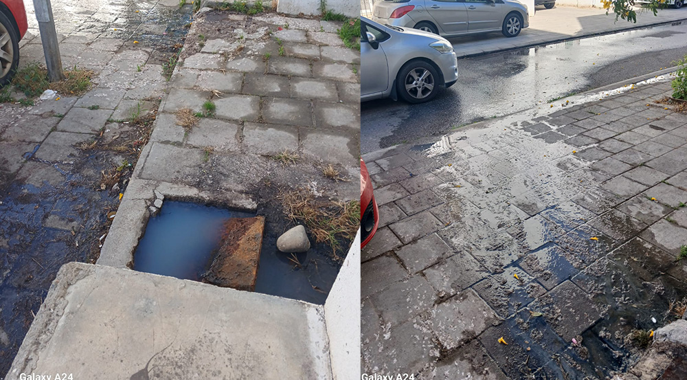 Lefke Çevre ve Ekoloji Derneği: Lağım suları halk sağlığını tehdit ediyor