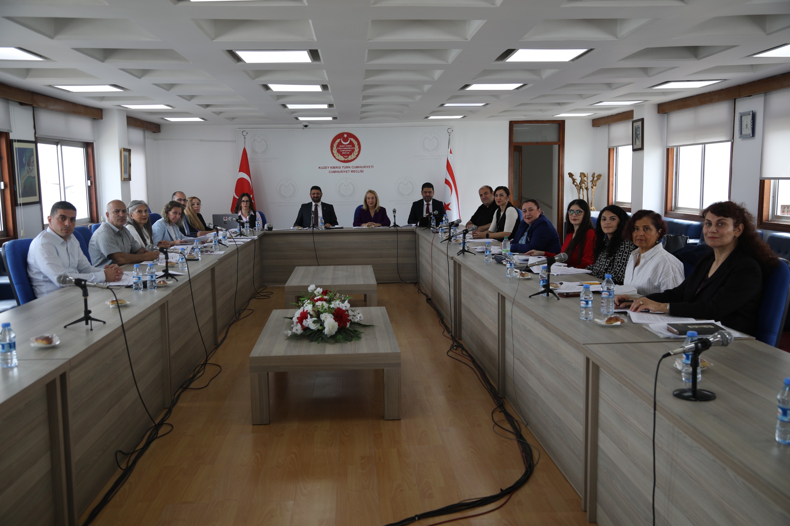 “Sosyal Hizmetler Dairesi Yasa Tasarısı” komitede görüşülüyor