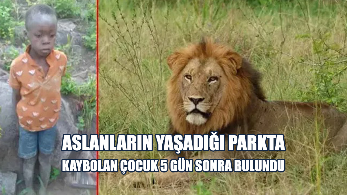 Aslanların Yaşadığı Parkta Kaybolan Çocuk 5 Gün Sonra Bulundu