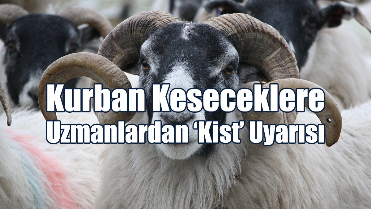 Kurban Keseceklere Uzmanlardan ‘Kist’ Uyarısı